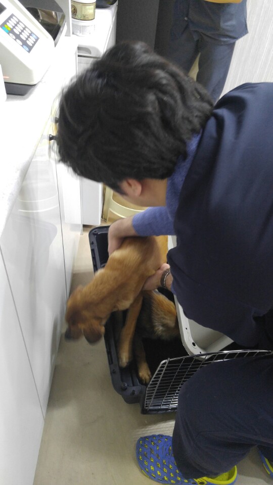 KakaoTalk_20171024_200349952