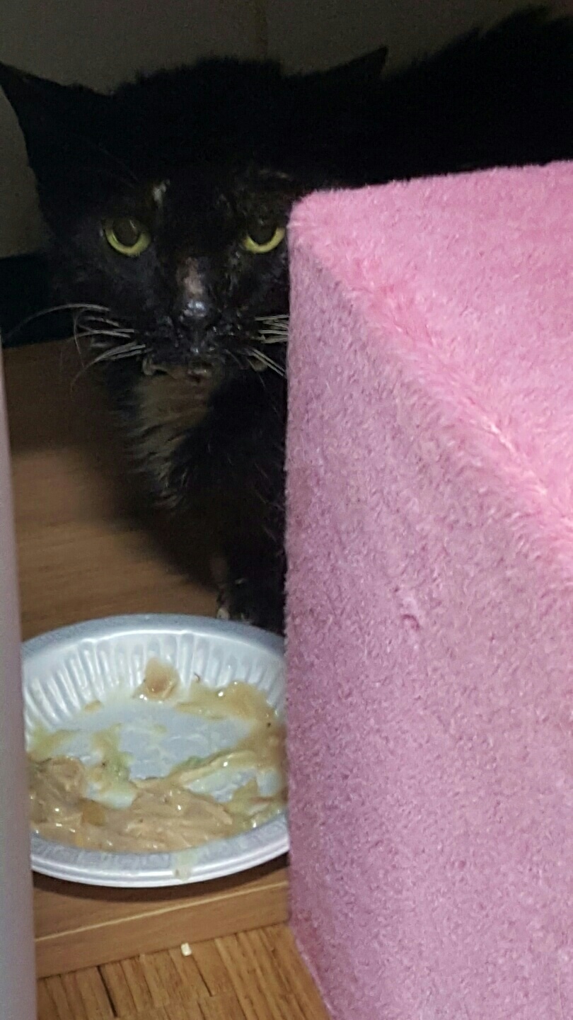 KakaoTalk_20180221_141938618